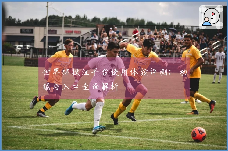 世界杯投注平台使用体验评测：功能与入口全面解析
