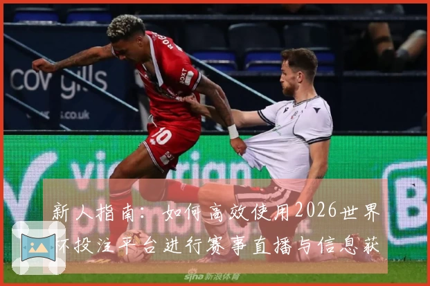 新人指南：如何高效使用2026世界杯投注平台进行赛事直播与信息获取