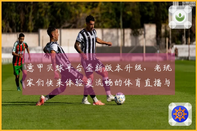 意甲买球平台全新版本升级，老玩家们快来体验更流畅的体育直播与便捷功能吧