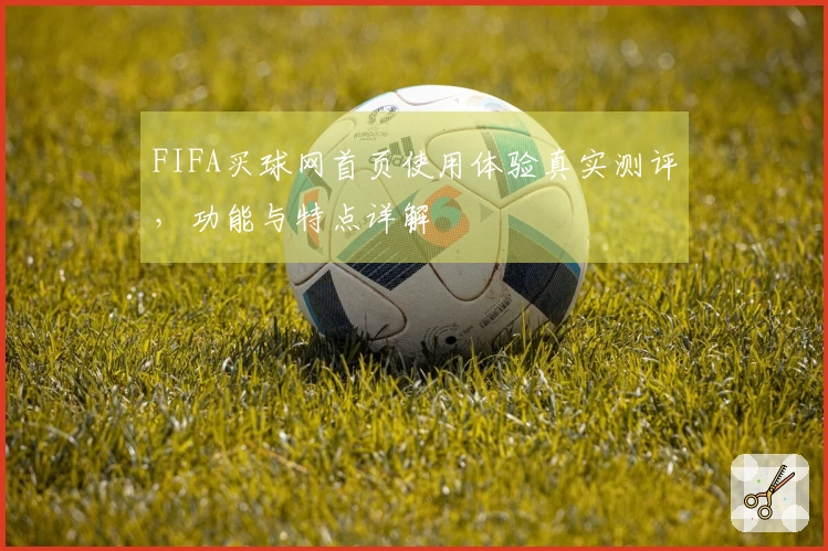 FIFA买球网首页使用体验真实测评，功能与特点详解