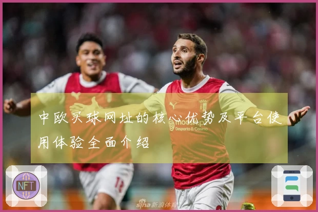 中欧买球网址的核心优势及平台使用体验全面介绍