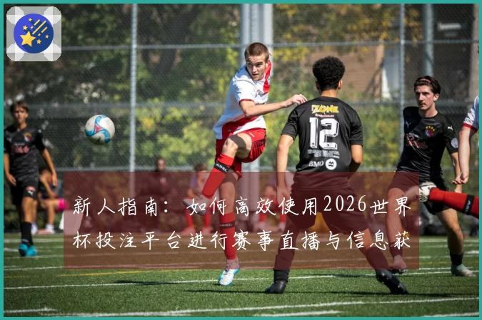 新人指南：如何高效使用2026世界杯投注平台进行赛事直播与信息获取
