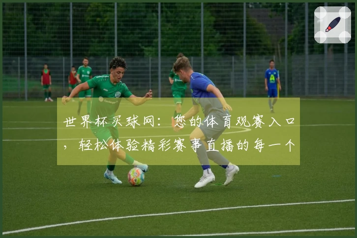 世界杯买球网：您的体育观赛入口，轻松体验精彩赛事直播的每一个瞬间