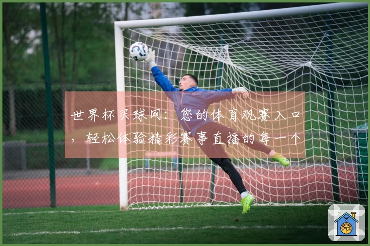 世界杯买球网：您的体育观赛入口，轻松体验精彩赛事直播的每一个瞬间
