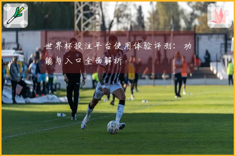 世界杯投注平台使用体验评测:功能与入口全面解析