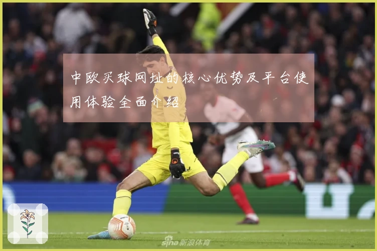 中欧买球网址的核心优势及平台使用体验全面介绍